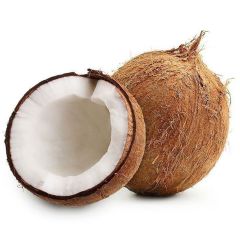 Coconut India