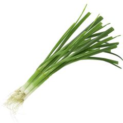 Onion Leaves