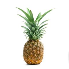 Pineapple Small