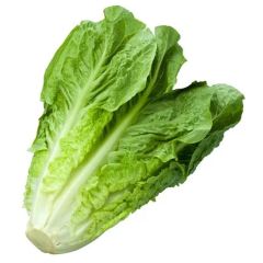 Letuce 1kg