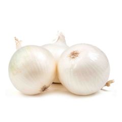 Onion White