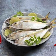 Fresh Mackerel Fish 1Kg