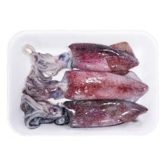 Squid Fish 30-40 1Kg